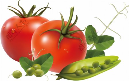 卡通蔬菜番茄矢量图食物素材
