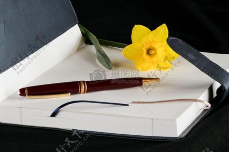 笔记本上的钢笔个小花