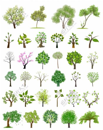 矢量绿色树木图片