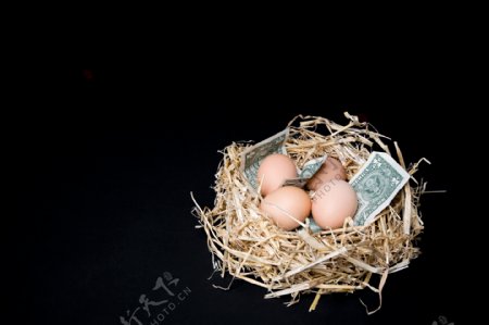 干草堆里的鸡蛋与钞票图片