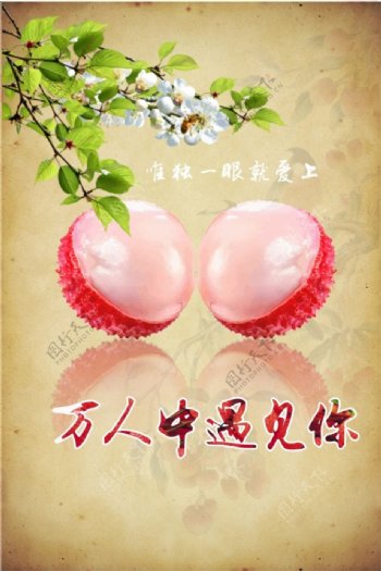 美食荔枝海报