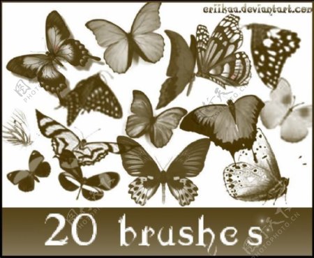 20种品种不一的蝴蝶笔刷