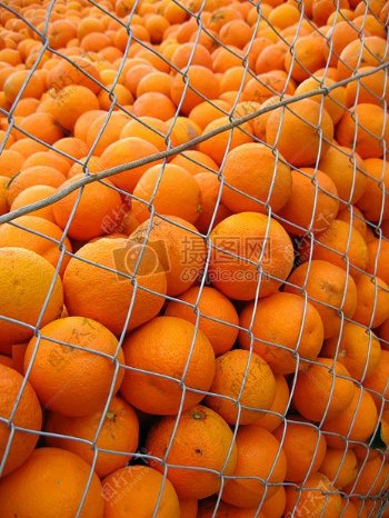 水果市场的橘子