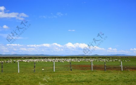 四川若尔盖花湖风景