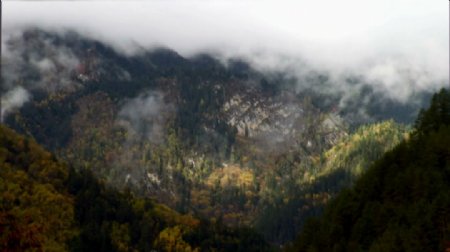 山林雾景视频素材