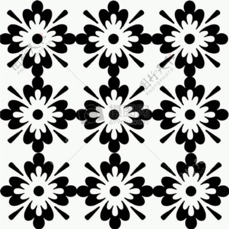 花卉插图黑与白