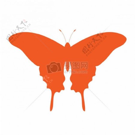 一只橘色的蝴蝶