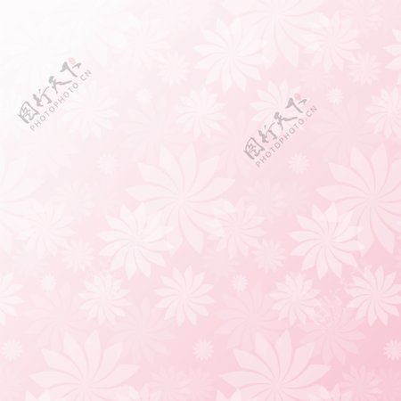 粉红色的花朵图案背景