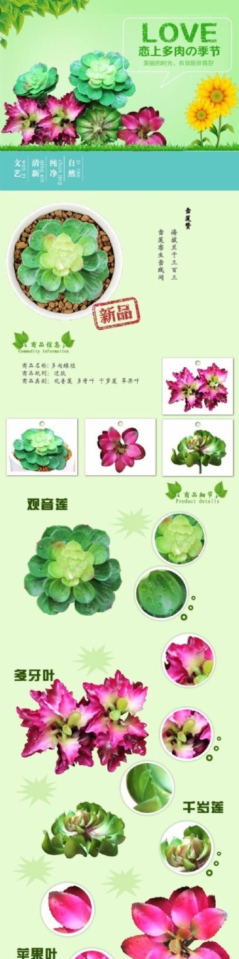 绿色植物详情页图片