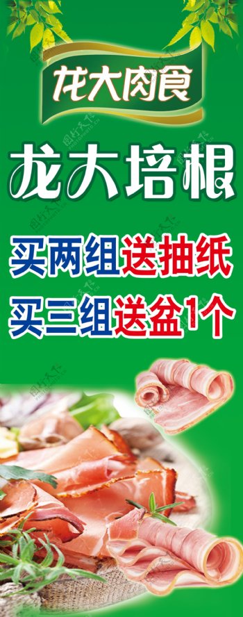 龙大肉食