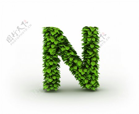 绿叶立体字母N图片