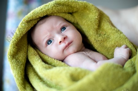 绿色浴巾里的宝宝图片