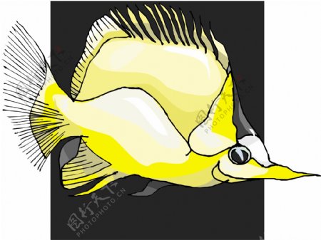 五彩小鱼水生动物矢量素材EPS格式0363