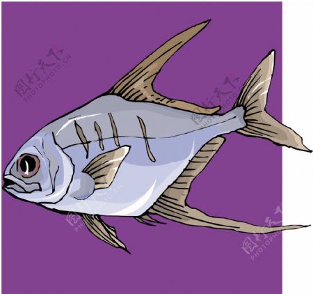 五彩小鱼水生动物矢量素材EPS格式0377