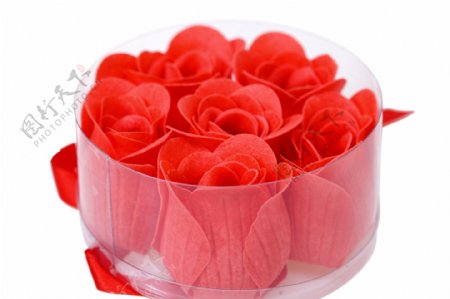 塑料盒内的红色玫瑰花图片图片