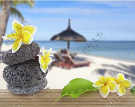 沙滩风景与石头鲜花图片