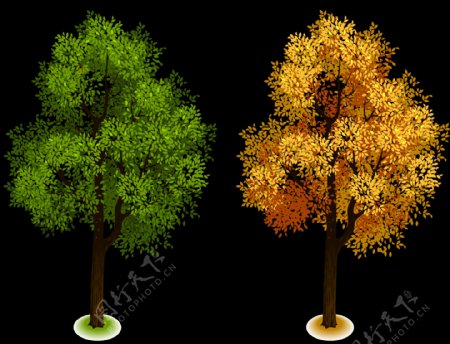 春秋季节大树免抠png透明图层素材