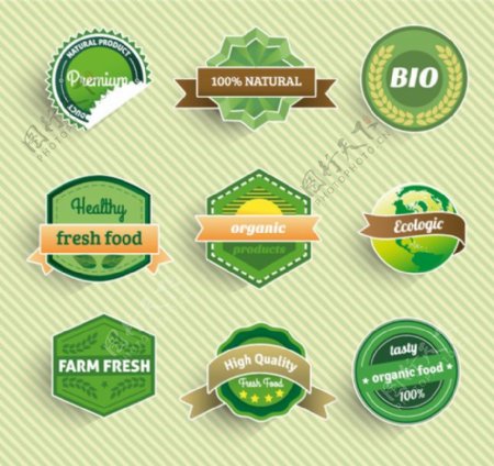 绿色食品标签矢量设计