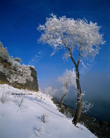 雪景摄影图片