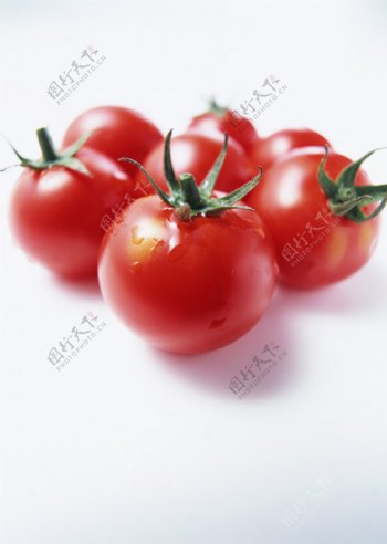 新鲜蕃茄摄影图片