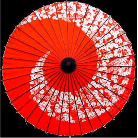 伞面花纹