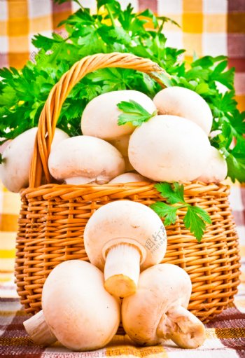 蘑菇与青菜背景图片