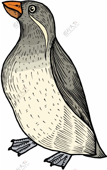 各种鸟类鸟动物矢量素材EPS格式1285