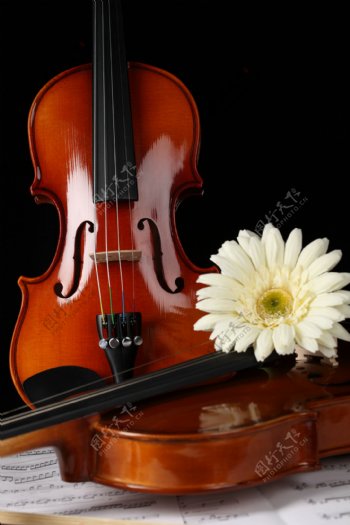 小提琴素材图片
