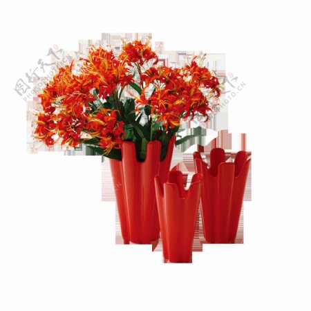 花朵高清红色高清素材