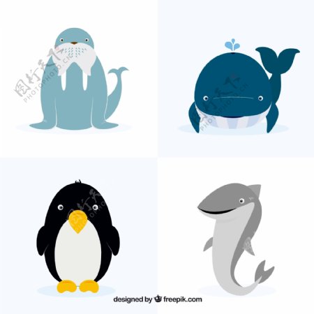 一组可爱的淡色海洋动物