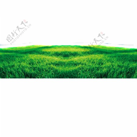 绿色草原图