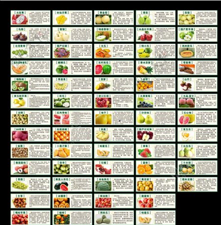 水果介绍水果营养价值图片