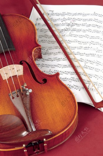 乐器小提琴图片