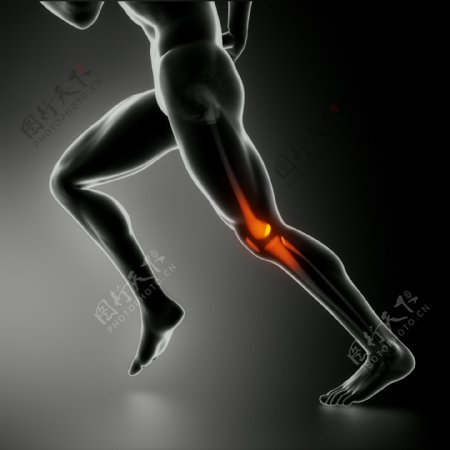 奔跑时的男性膝关节图片