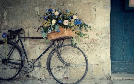 载满鲜花的自行车