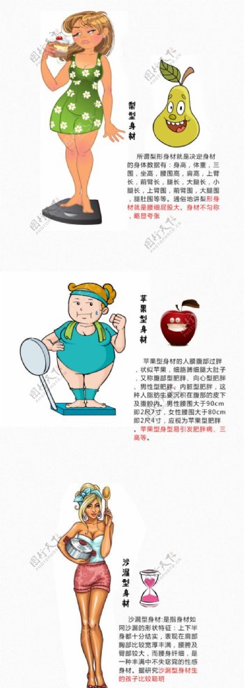卡通美女人物苹果梨形沙漏型身材减肥