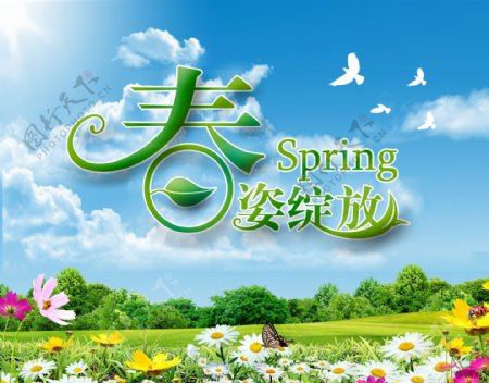 春姿绽放春天风景