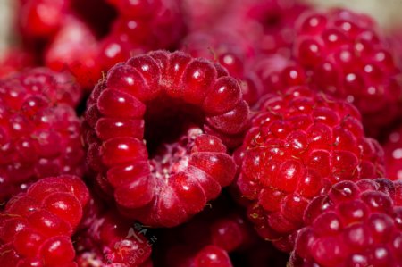 新鲜的草莓桑葚水果高清图片