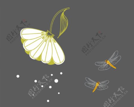 白色花朵蜻蜓