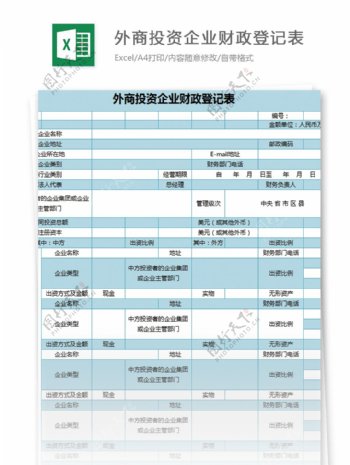 外商投资企业财政登记表excel模板