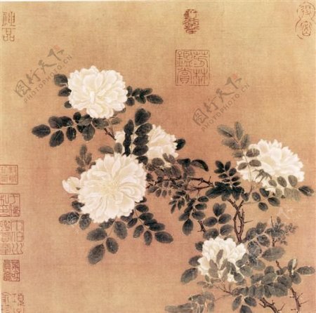 白蔷薇图花鸟画中国古画0080