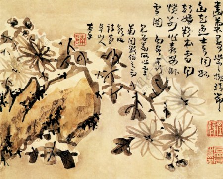 雪菊图花鸟画中国古画0457