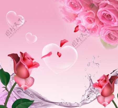 爱心气泡玫瑰背景图片