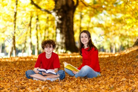 树叶上看书的男生女生图片