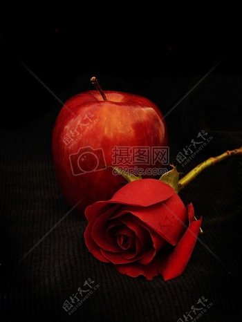 一个红苹果和玫瑰花