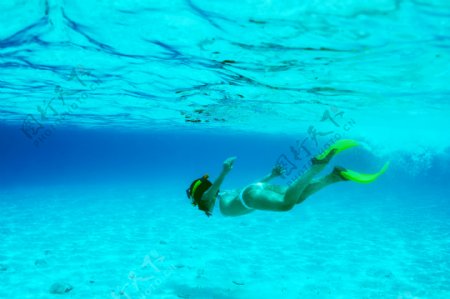 海底潜水的比基尼美女图片