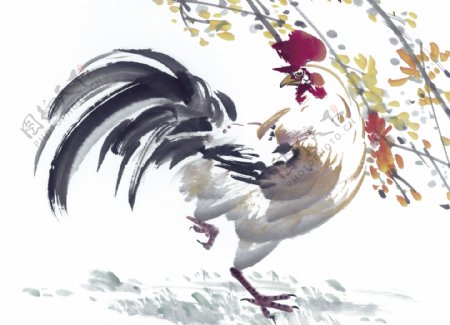 鸡写意花鸟国画0238