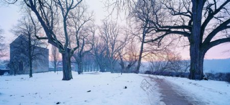 冬季乡村雪景图片