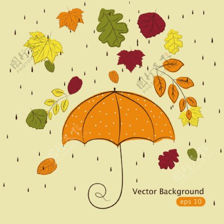 时髦的手绘秋天的落叶雨
