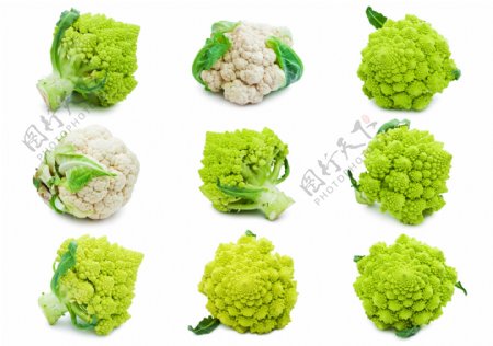 白色和绿色的菜花图片